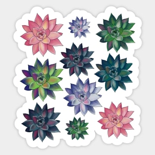 Colorful Succulent Watercolor Pattern Sticker